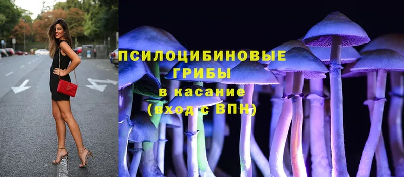 Псилоцибиновые грибы MAGIC MUSHROOMS  купить закладку  Правдинск 